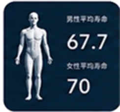 model feature 3