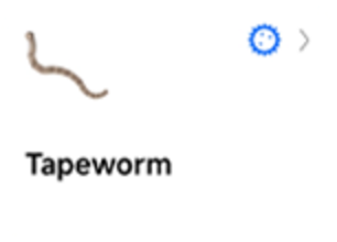 earthworm detail diagram 5