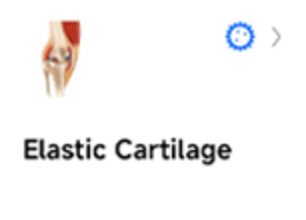 earthworm detail diagram 9