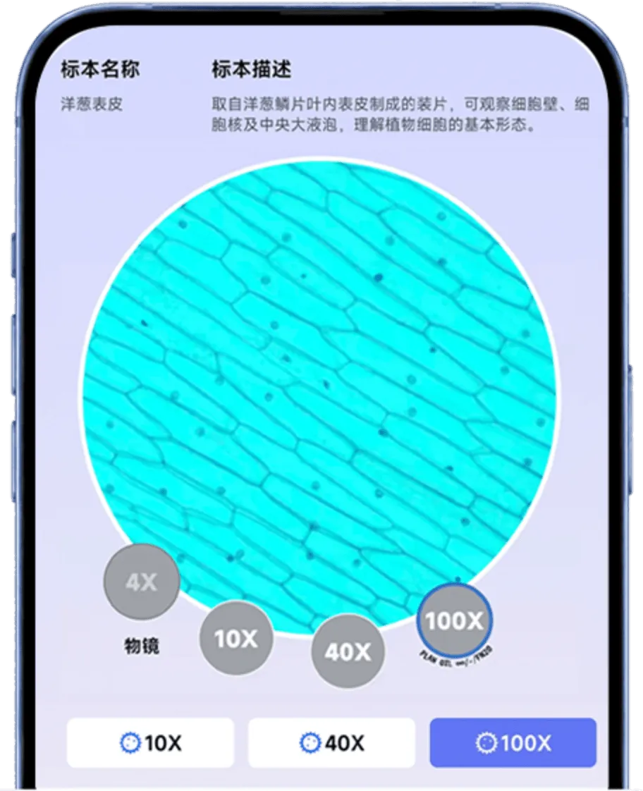 標本主圖