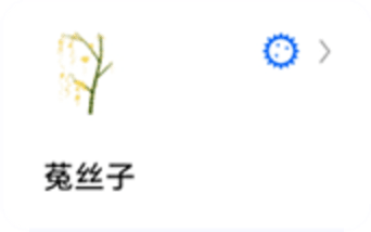 蚂蚁标本图1