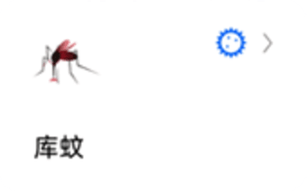 蚂蚁标本图10