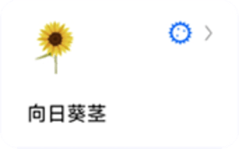蚂蚁标本图2