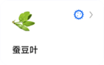 蚂蚁标本图3