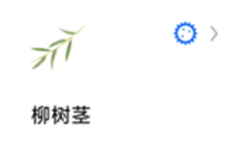 蚂蚁标本图5