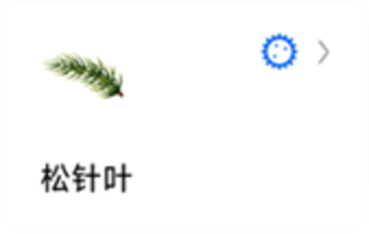 蚂蚁标本图6