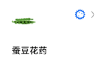 蚂蚁标本图7