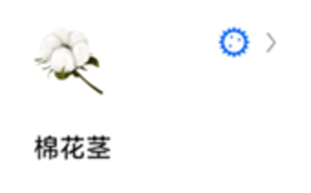 蚂蚁标本图8