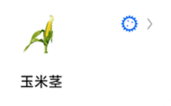 蚂蚁标本图9