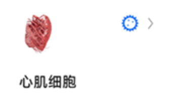辣椒标本图10