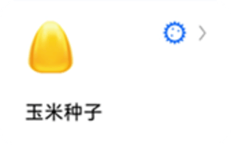 辣椒标本图3