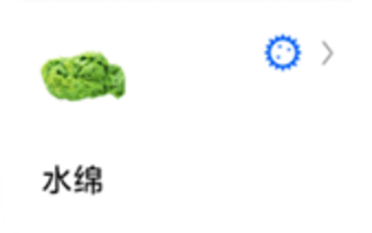 辣椒标本图4
