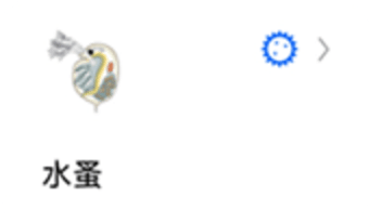 辣椒标本图5