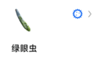 辣椒标本图8
