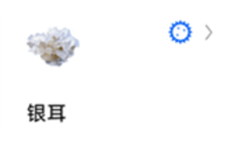 辣椒标本图9