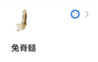 蚯蚓标本图10