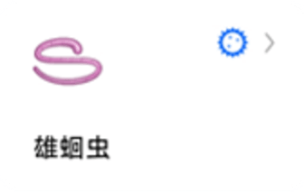 蚯蚓标本图2