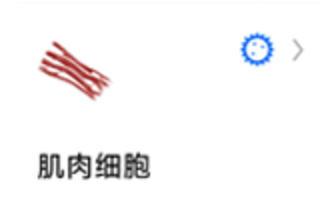 蚯蚓标本图4