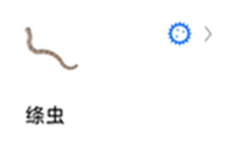 蚯蚓标本图5