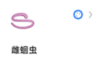 蚯蚓标本图6