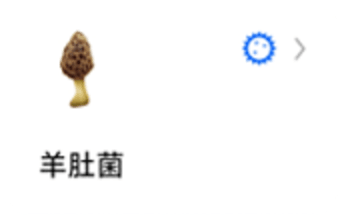 蚯蚓标本图8