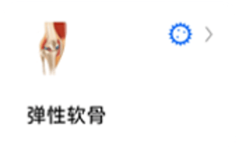 蚯蚓标本图9